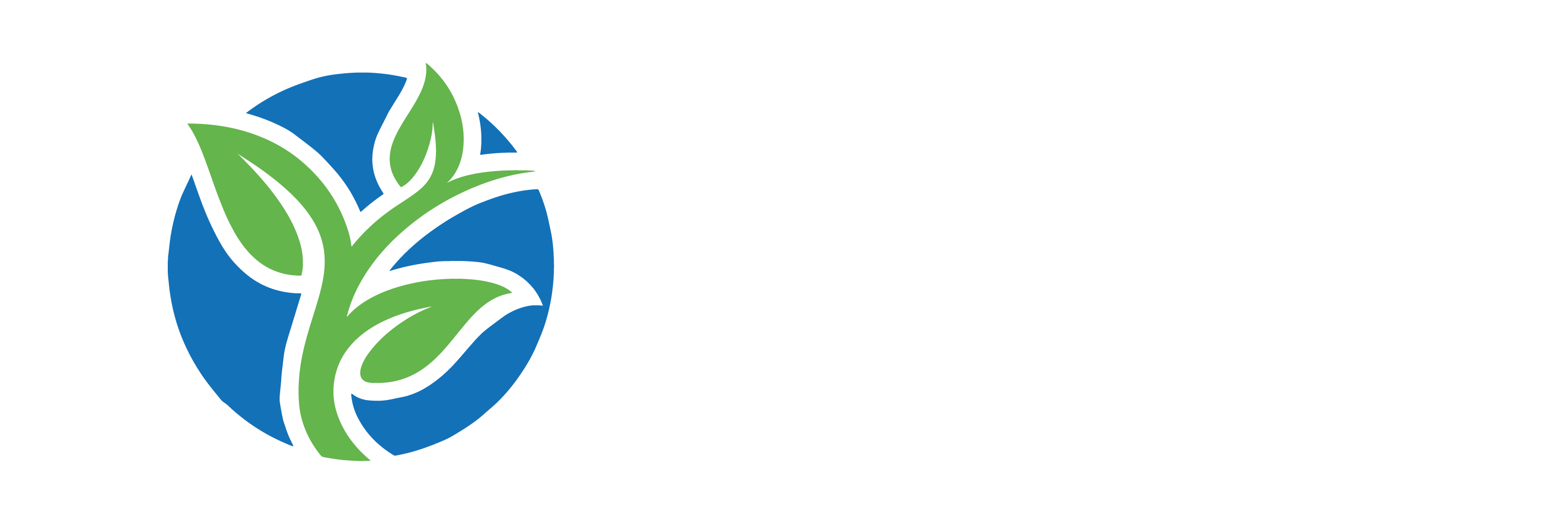 Logo Punto Natural Blanco